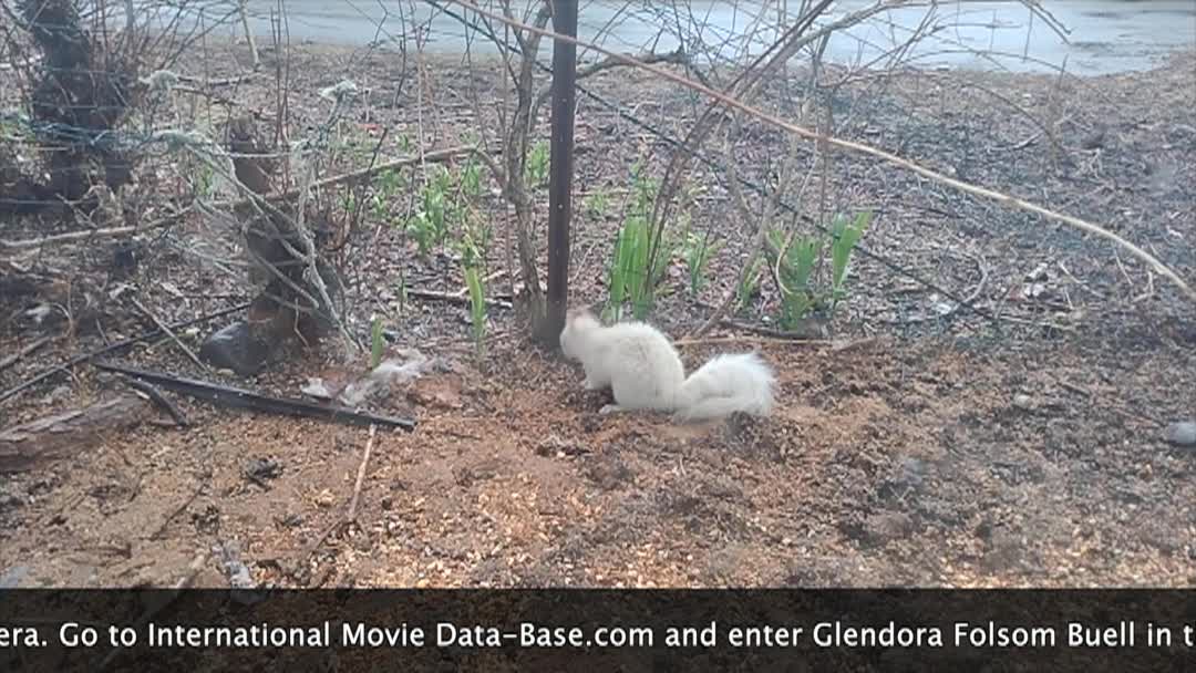 Thumbnail image for A Chat With Glendora