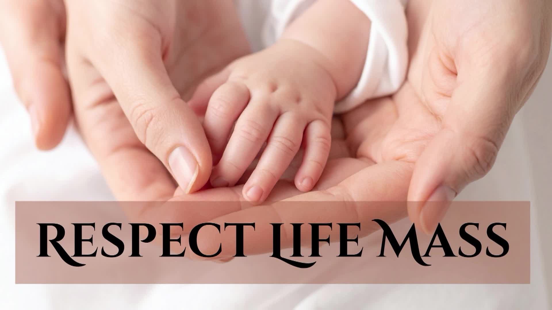 Thumbnail image for Chalice of Salvation